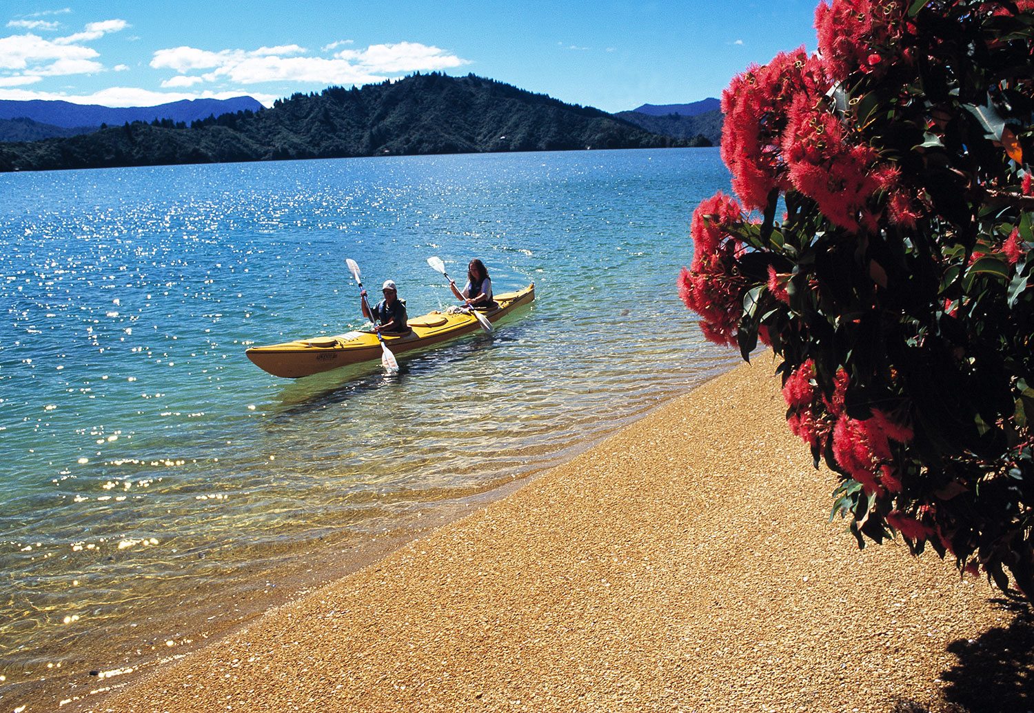 Walk the Queen Charlotte Track in New Zealand Silver Fern Holidays