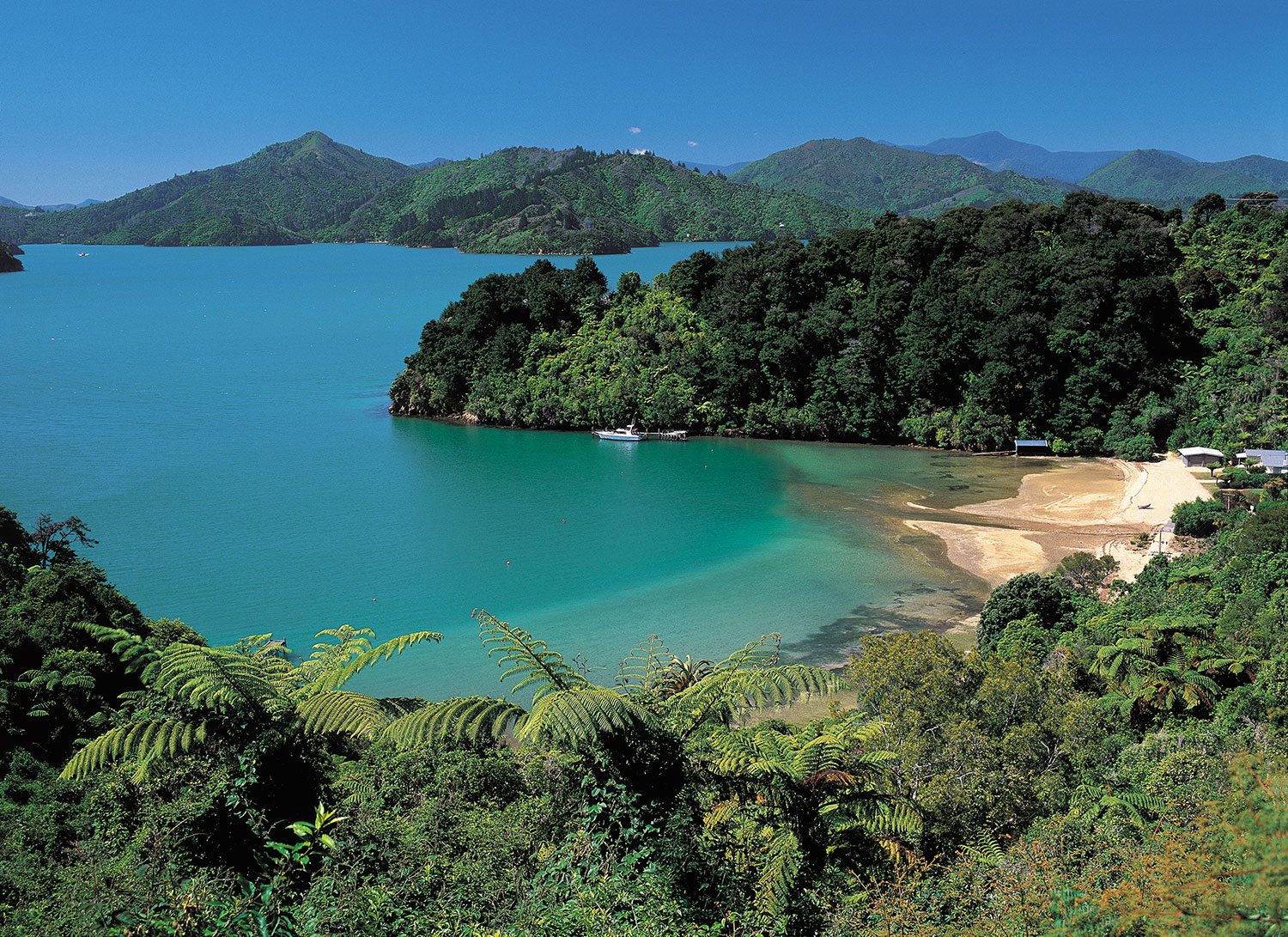 Queen island. Новая Зеландия трек королевы Шарлотты. Новозеландских куин расми.