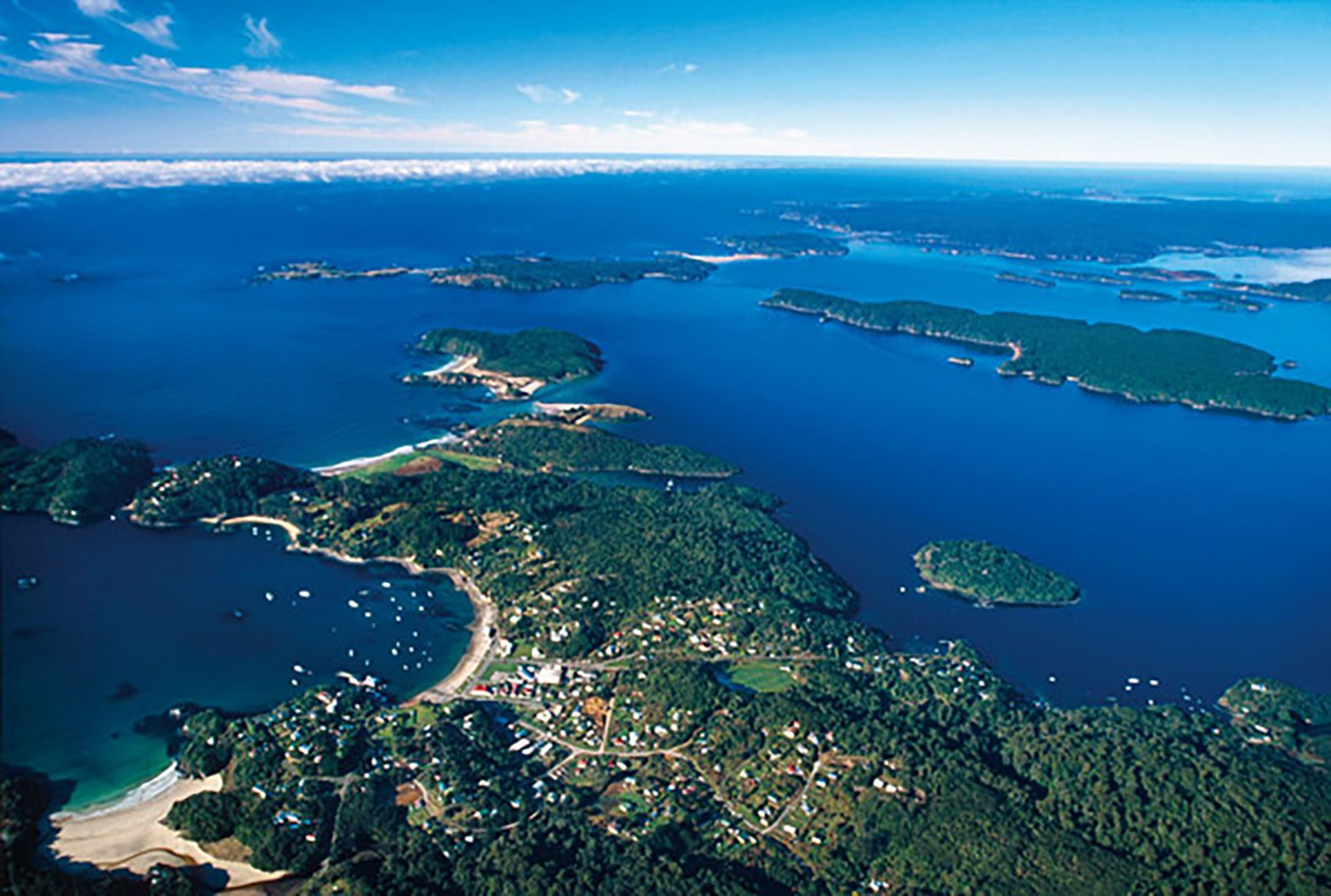 stewart island tours from invercargill