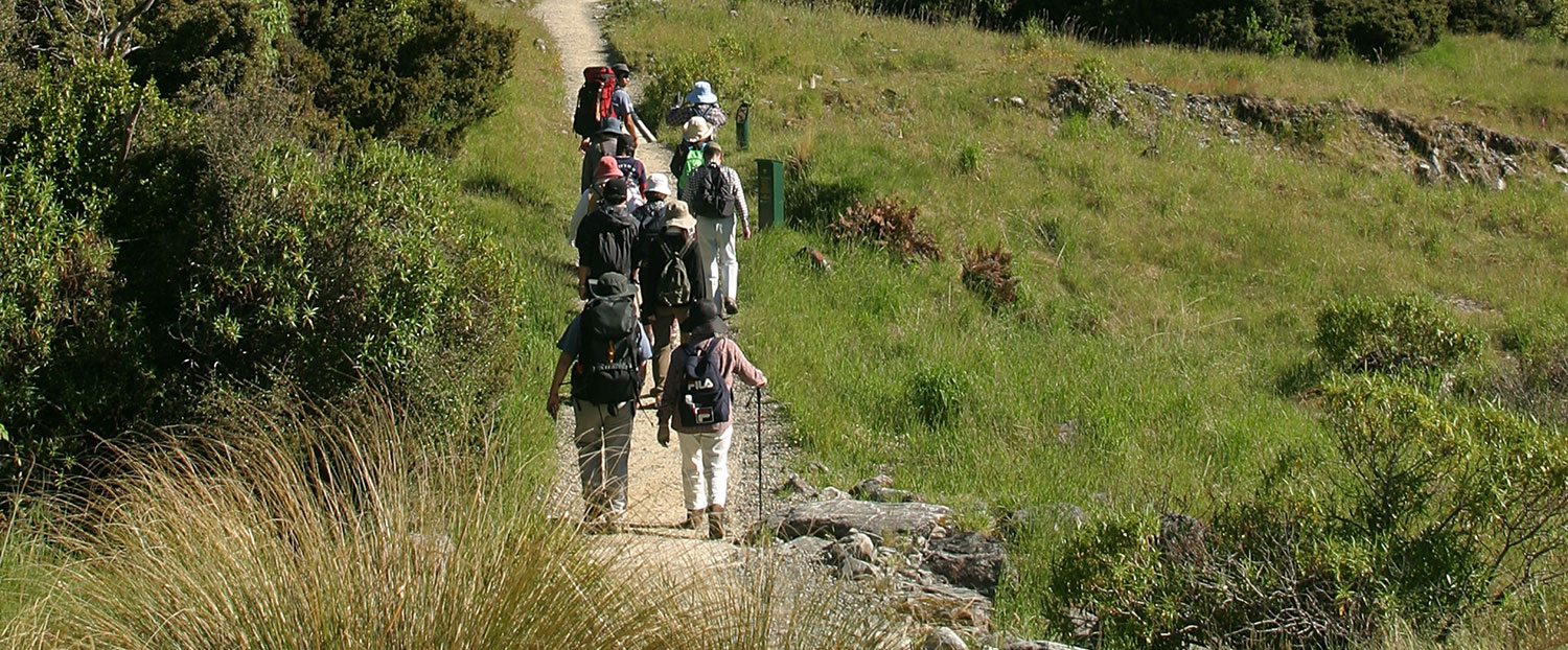 Walker in New Zealand