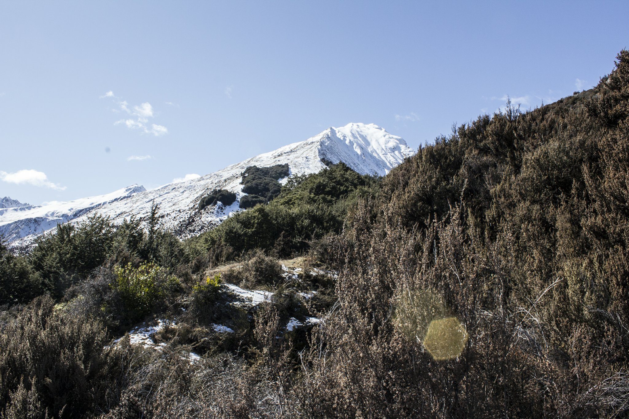 The Goldmine Track