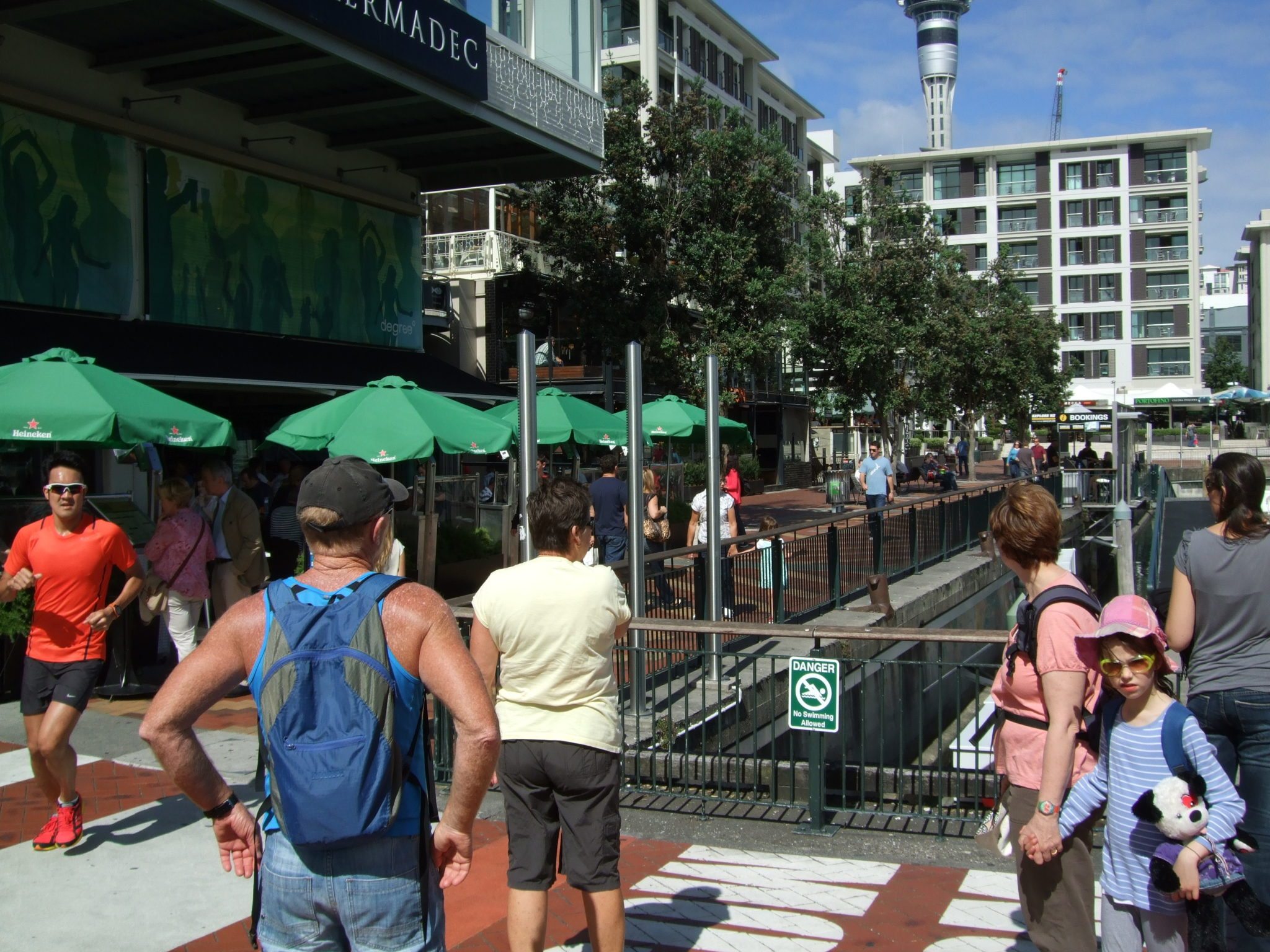 Auckland Harbour (1)