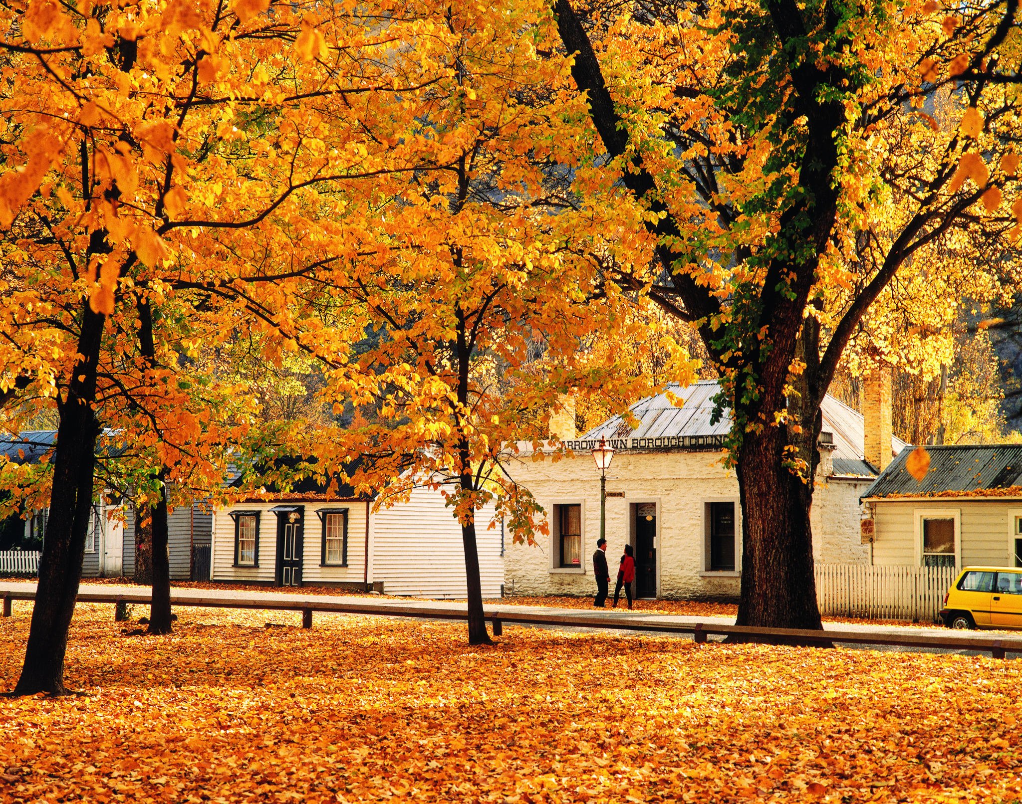 Autumn colours Arrowtown