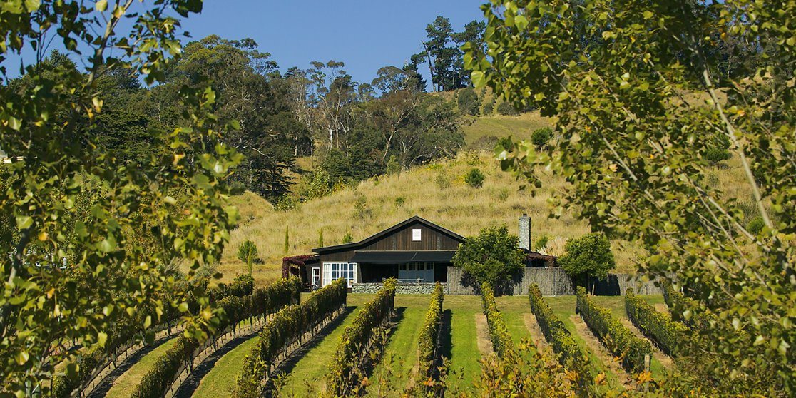 contact-black-barn-vineyards