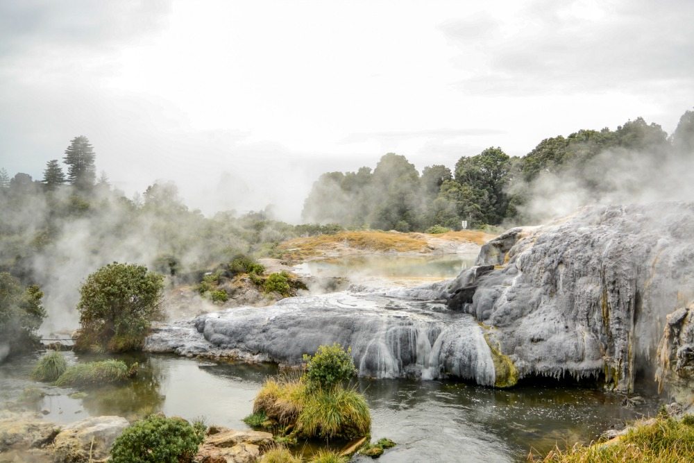 Te Puia thermal pools in Rotorua, New Zealand