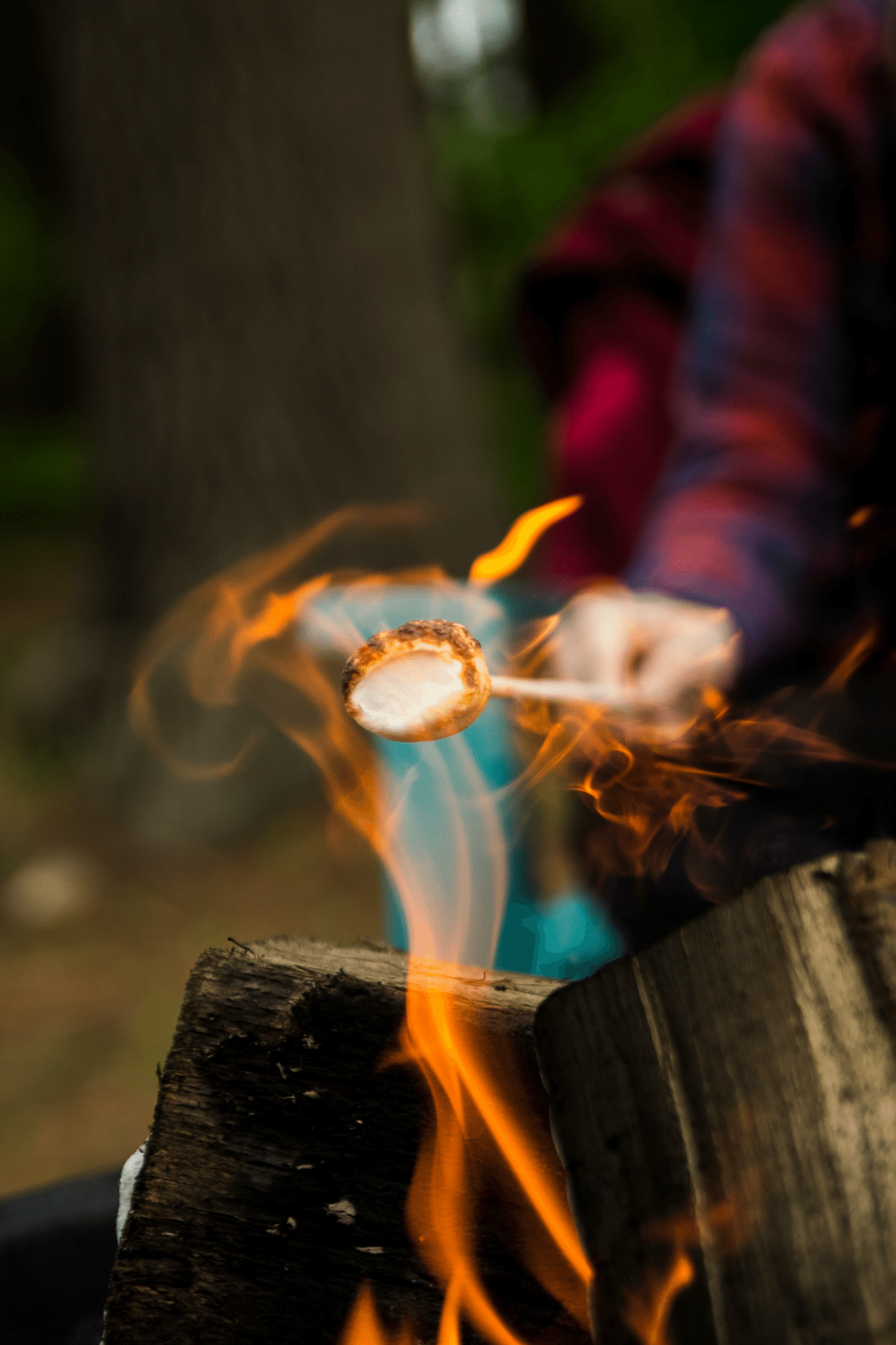 Toasting marshmallows over an open log fire