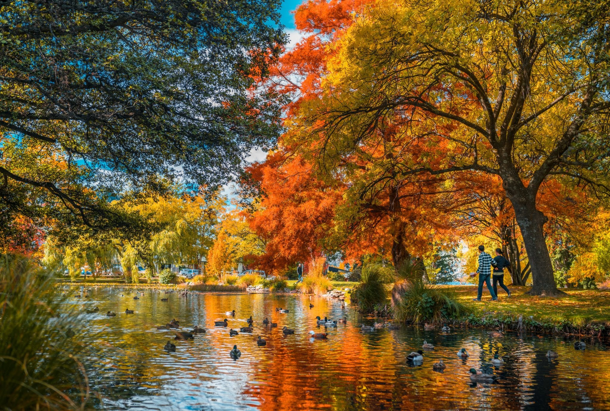 An Autumn day in Queenstown with the light reflecting off the water