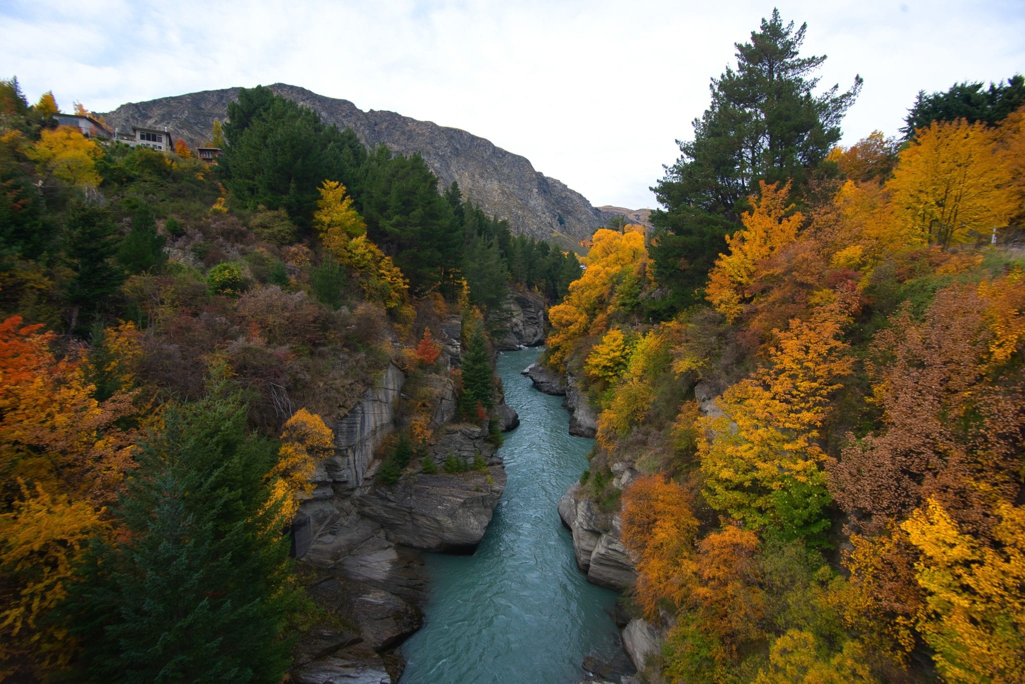 Looking down on to a river in Arrowtown with autumnal tress on either bank