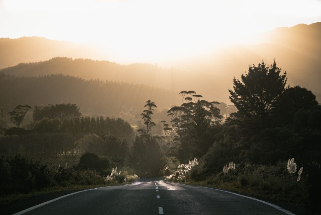 Shot looking down a road surrounded by trees through hazy sunset light