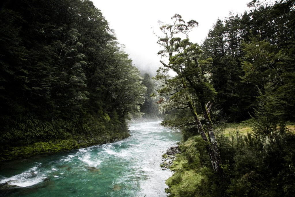 river on routeburn track