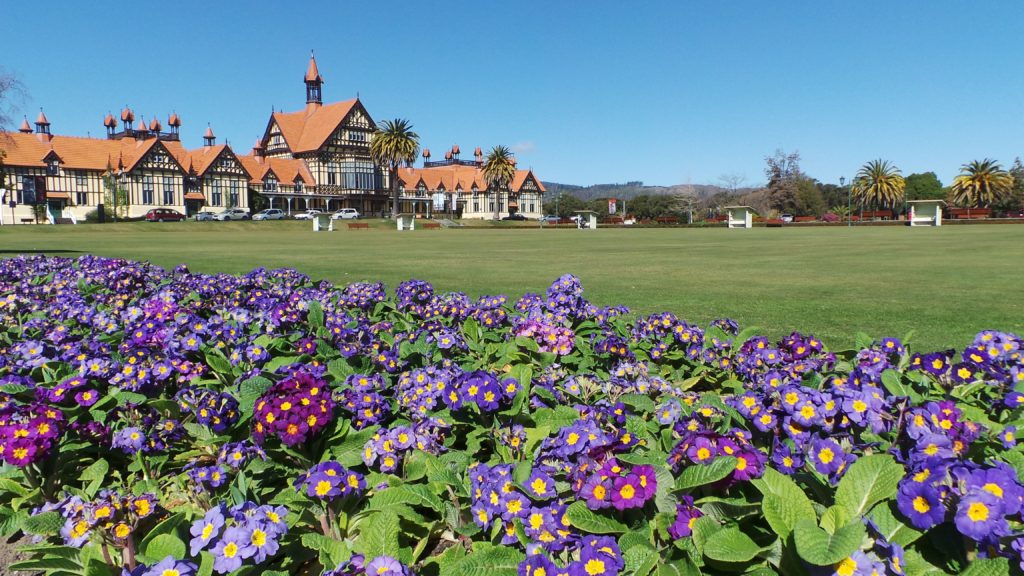 spring flowers at the government gardens, rotorua