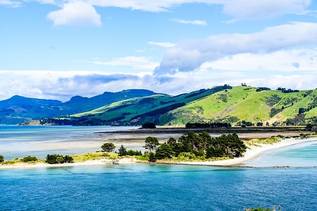 Dunedin Coast