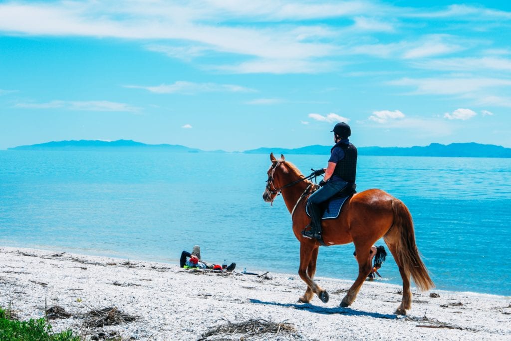 horse riding