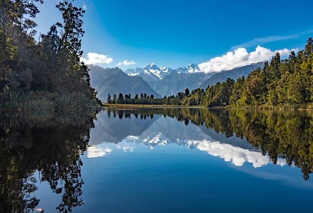 new zealand summer