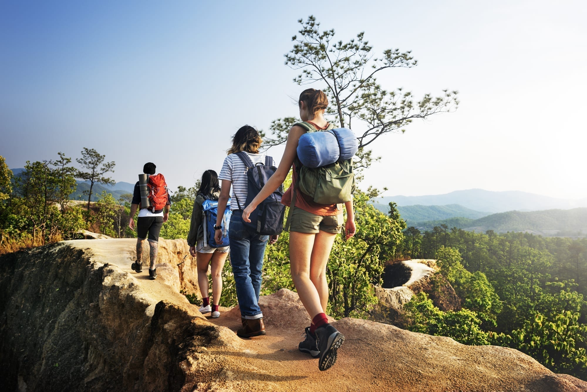 Group Tour Hiking New Zealand