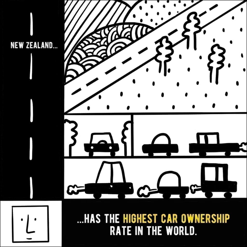 Car Ownership New Zealand - Silver Fern Holidays