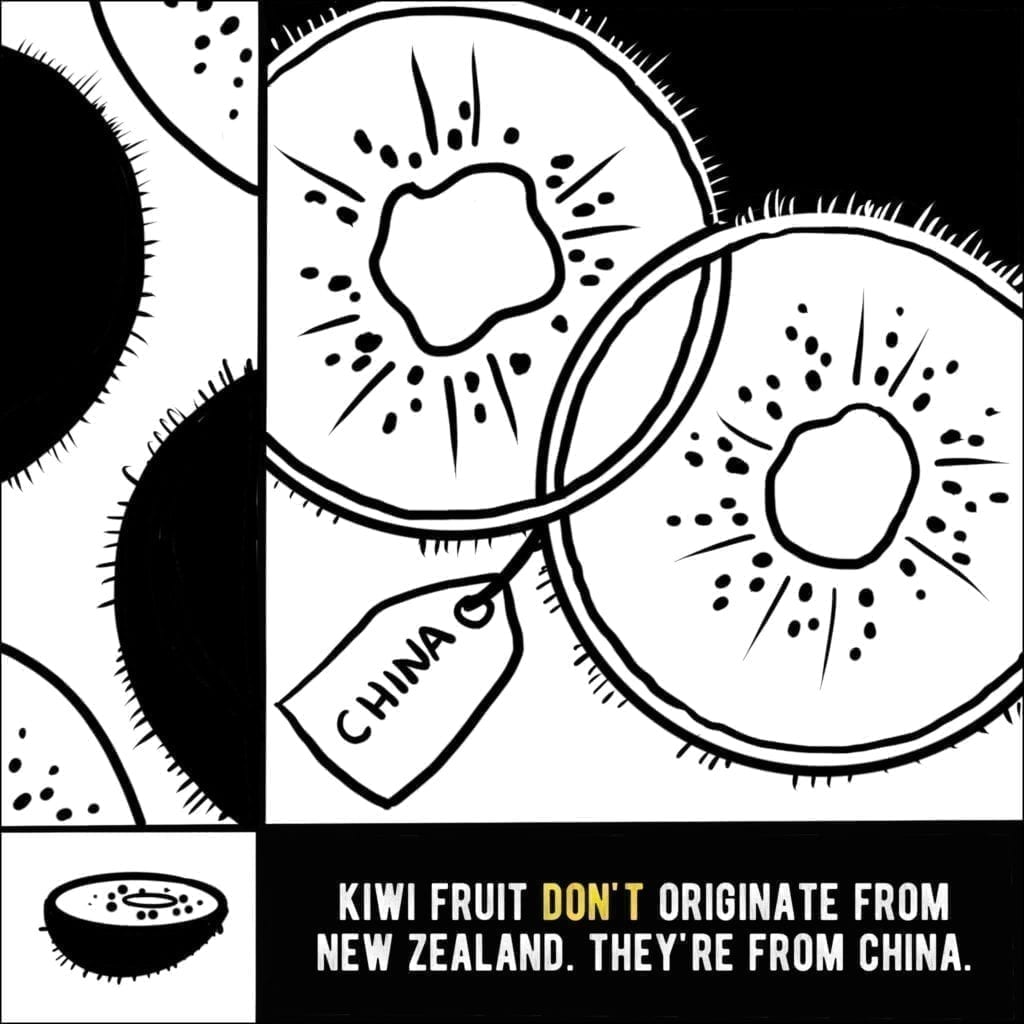Kiwi Fruit Not From New Zealand - Silver Fern Holidays