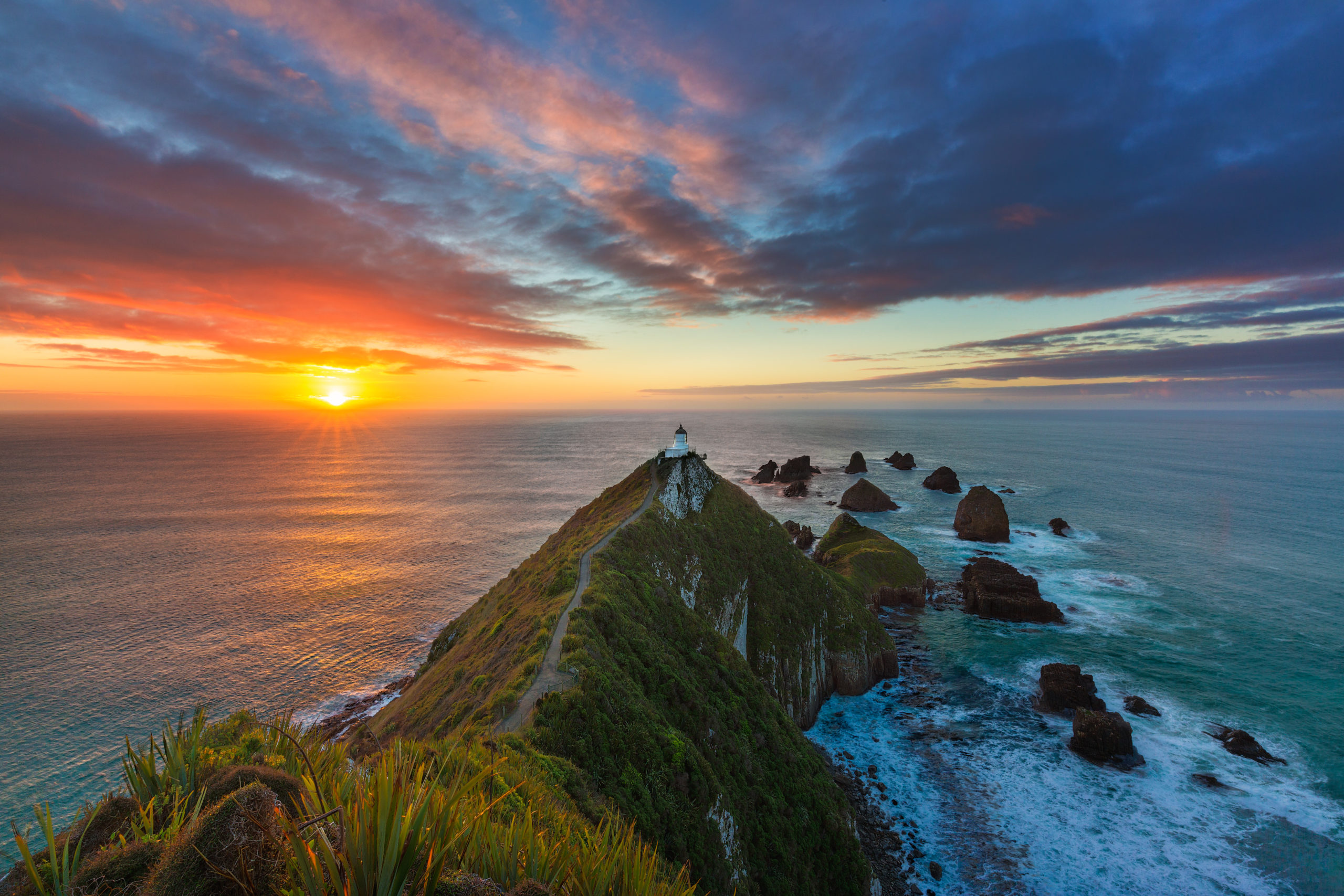 Nugget Point Lighthouse - The Catlins - Silver Fern Holidays