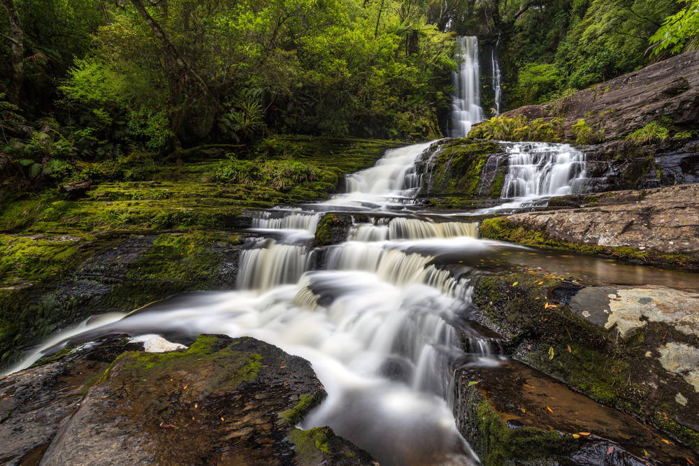 McClean Falls - The Catlins - Silver Fern Holidays