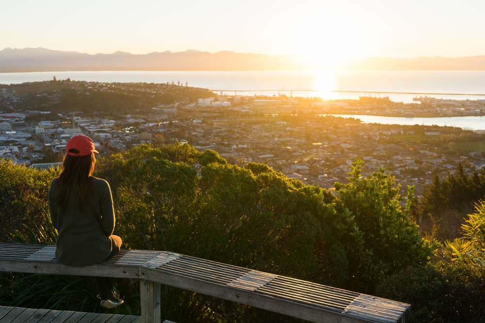 The Centre of New Zealand: A Brief Guide to Nelson - Silverfern Holidays