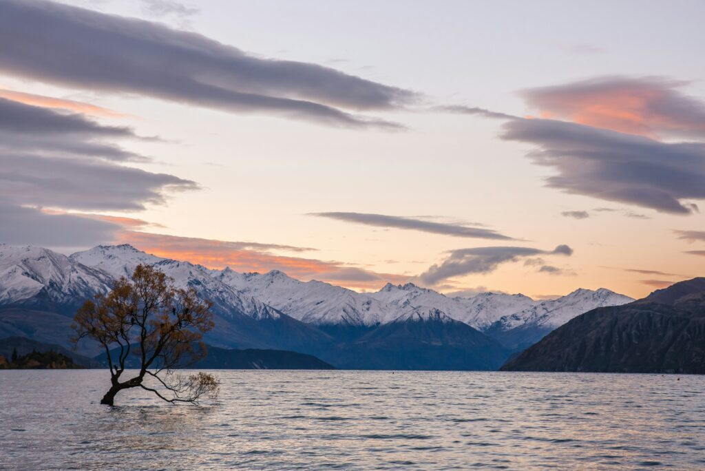 View of tree standing in Lake Wanaka with Southern Alps in background