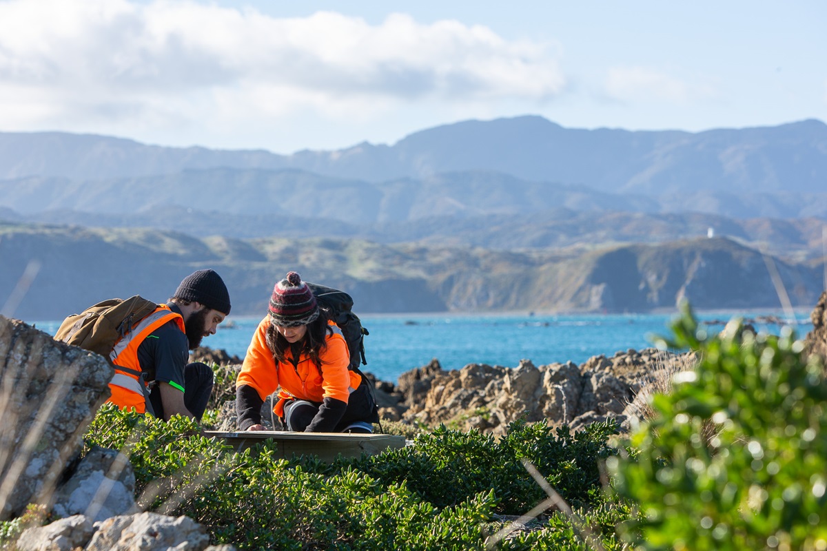 Predator Free Wellington team members setting trap boxes with lake and mountains in background