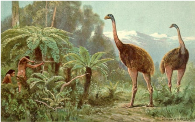 Illustration of giant moas being hunted by humans